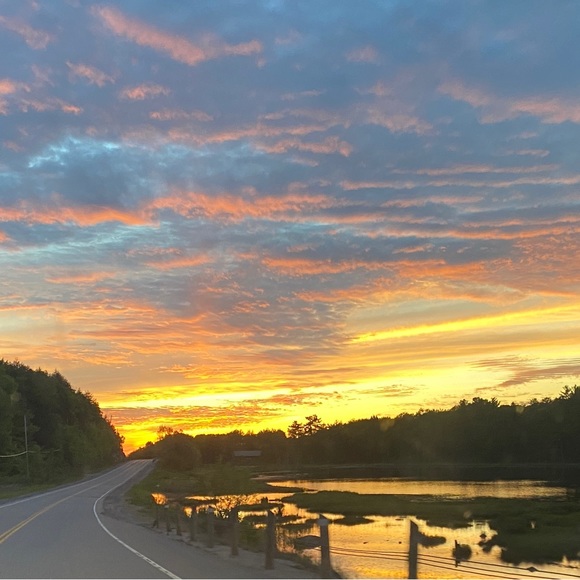 Meet your Posher, Will - Picture 8 of 9